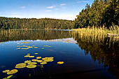 Parco Nazionale di Linnansaari 